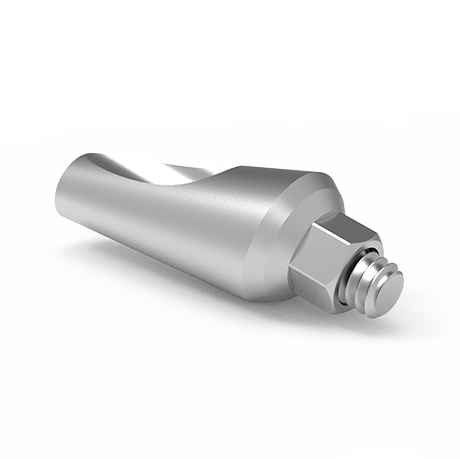 Angled Abutment 15 and 25 Degrees Regular Platform Internal Hex Connection View