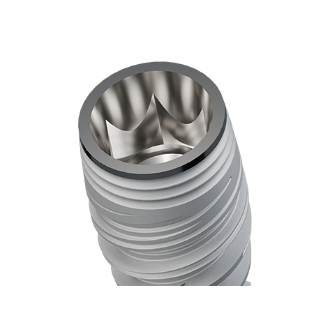 Close-up of Internal Conical Connection Dental Implant Compatible with NobelActive NP and RP