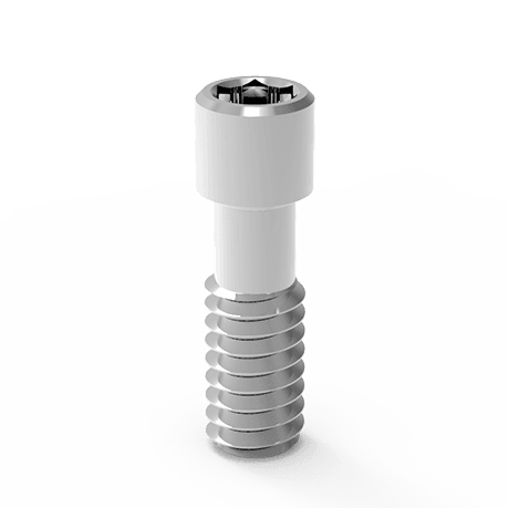 Extra Fixation Screw For Angled Multi Unit Abutment - M1.72