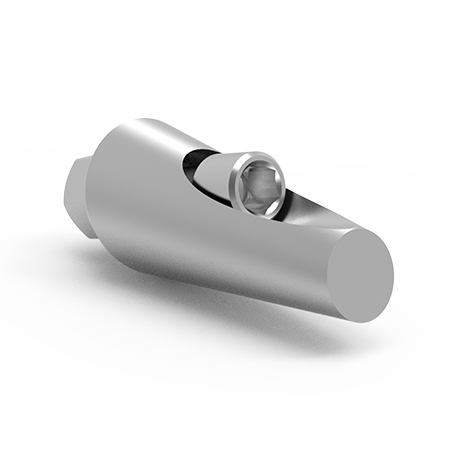Angled Abutment 15 and 25 Degrees Regular Platform Internal Hex Inner Screw View