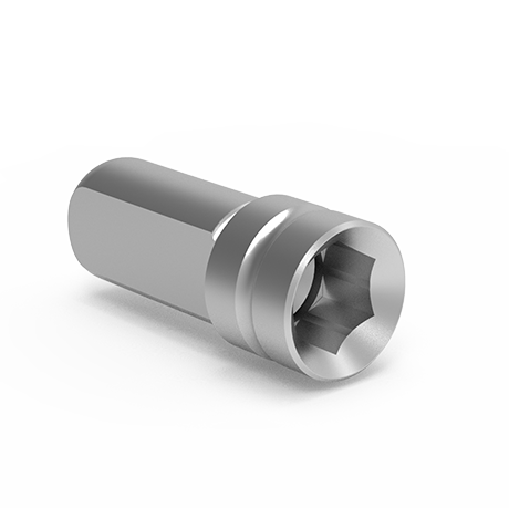 Digital Analog for Dental Implant Connection View