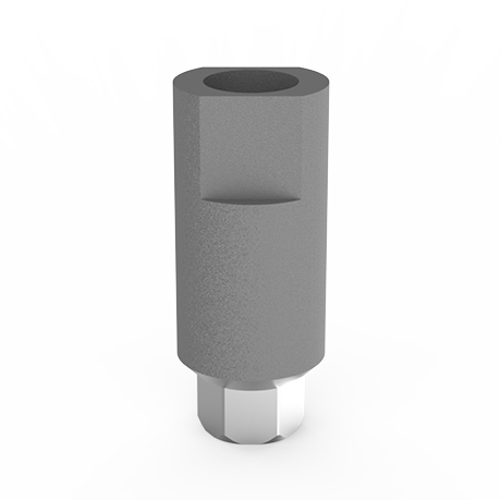 Scan Body for Dental Implant Internal  Hex Front Angle View